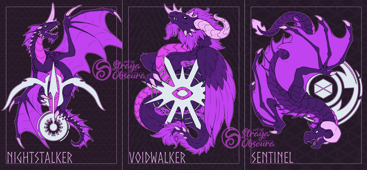 Void Destiny Subclass Dragons 8x10